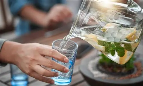 Бабушкины домашние средства от болей в животе: мягкие и эффективные