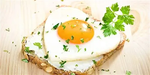 Витамины для красивой кожи – витамин В2