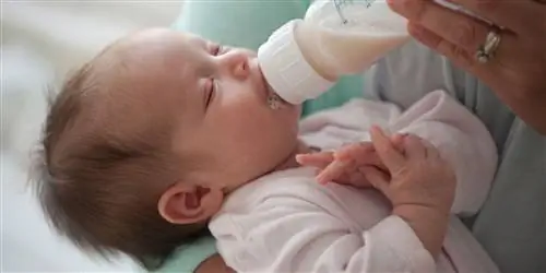 Цинга от миндального молока