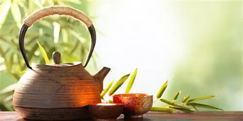 Раскрыт секрет здоровья зеленого чая