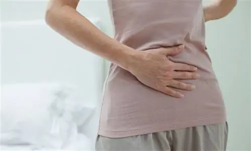 Боль в животе справа: что за болезнь?