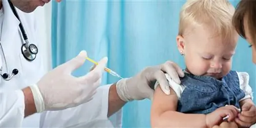 Корь быстро распространяется в Соединенных Штатах