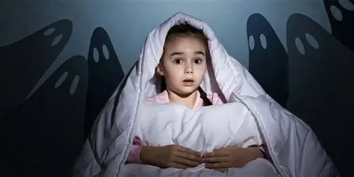 Кошмары у детей – как правильно реагировать