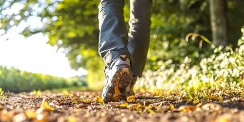 Ожирение печени – что делать, чтобы предотвратить?