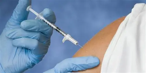 Это определенно поможет при аллергии на шерсть животных