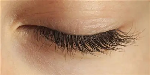 Защитите свои глаза: это гарантированно лучший способ