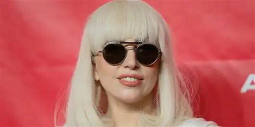 Lupus – Леди Гага: «Внезапно мое тело восстало против меня»