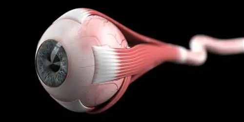 Помощь при глаукоме: что действительно работает?