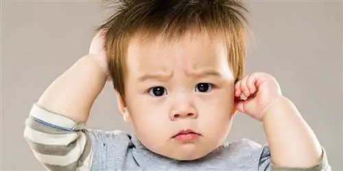 Профилактика педикулеза: эти приемы работают лучше всего