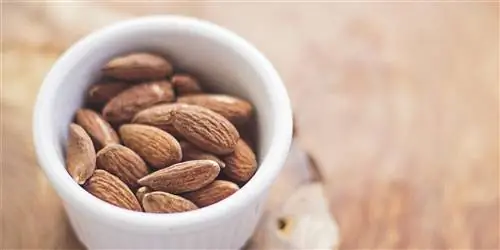 Здоровые перекусы в промежутках: 38 гениальных идей