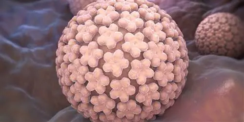 Насколько полезна вакцинация против ВПЧ для мальчиков?