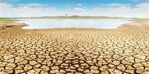 Мозг в смятении