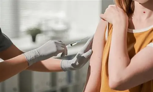 Вот как прививка от гриппа работает лучше всего