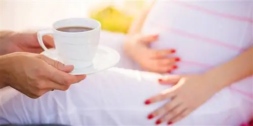 Кофе при беременности: сколько можно?