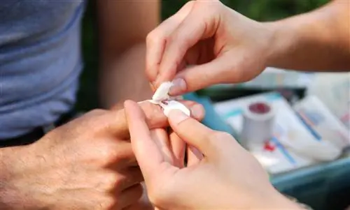 Лечение ран – вы должны это знать