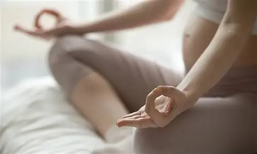 12-я неделя беременности: Первый критический триместр беременности почти закончился