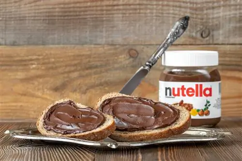 Кремы с ореховой нугой в Эко-тесте: Nutella на удивление плоха