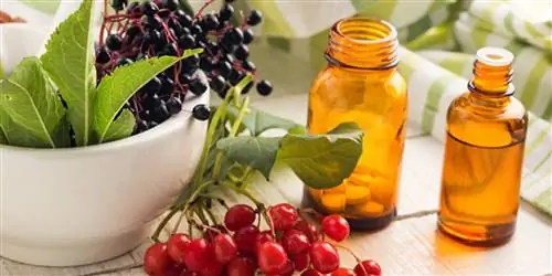 Так лечит классическая гомеопатия