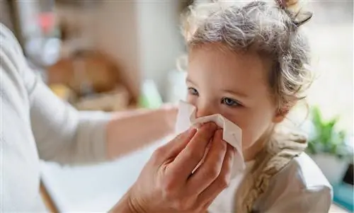 Вирус РС: симптомы, заражение и лечение