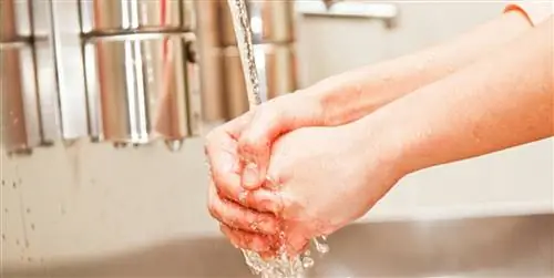 Как наладить кровообращение