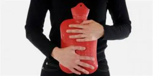 Что помогает при проблемах с желудком? – отвечают 3 эксперта