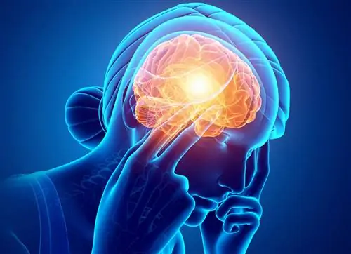 Признаки инсульта: обратите внимание на эти симптомы