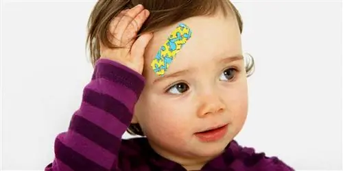 Лексикон пластыря: когда какой пластырь помогает?