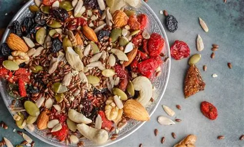 Пищевые волокна: какие продукты содержат особенно большое количество