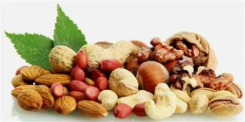 Может ли магний действительно предотвратить диабет?