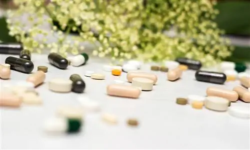 Натуральные стимуляторы сексуальной активности: вот как женьшень и ко