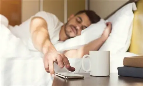 Полифазный сон: Дремать чаще