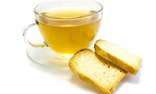 Раск-диета: быстрая потеря веса в любом случае?