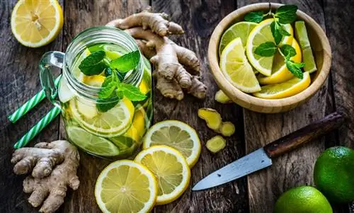 Похудей с лимоном и имбирем: этот напиток сжигает калории
