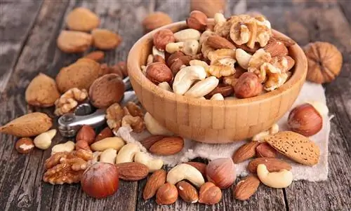 Марганец: защита клеток и многое другое