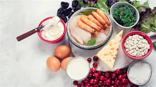 Продукты, содержащие йод: Что содержит особенно большое количество йода