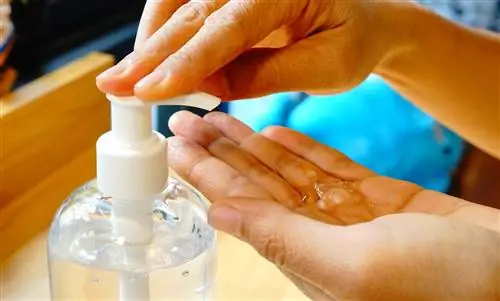 Вместо дезинфицирующих средств: 3 дешевые альтернативы