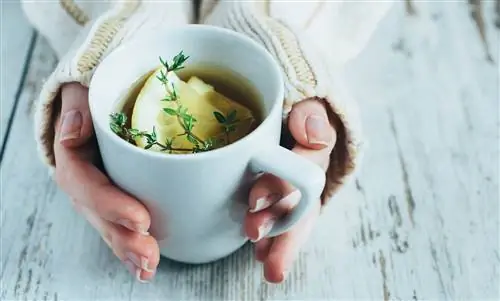 Чай против менструальных болей – 10 лучших лекарственных растений