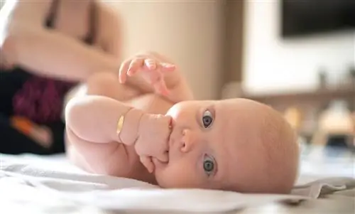 На что похожа фрейдистская оральная фаза у младенцев?