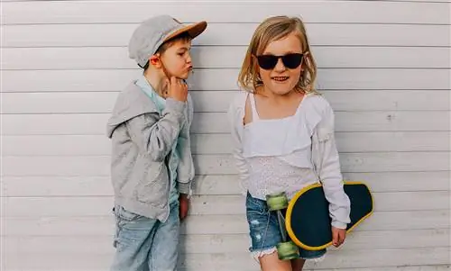 Фаллическая фаза по Фрейду