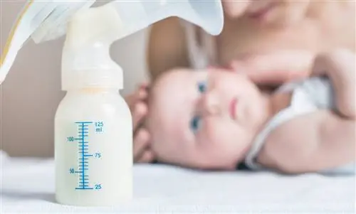 Сцеживание молока: как это работает?