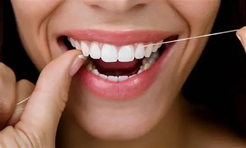 Правильное использование зубной нити: вот как