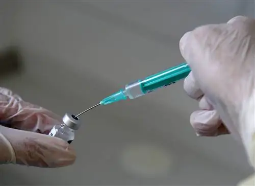 Вакцина Stöcker из Любека: одобрение за пределами Европы?