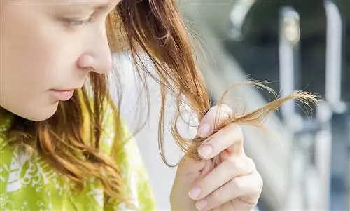 Отрежьте кончики самостоятельно: с этими инструкциями 's преуспеет