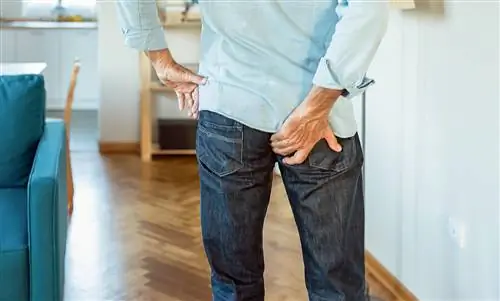 Перианальный тромбоз или геморрой: что это?