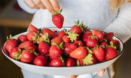 Вот почему клубника полезна: 5 причин