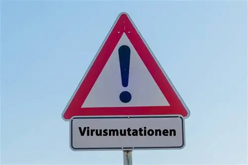 Новый вариант Corona из Вьетнама «очень опасен»