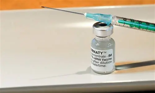 Biontech: срочное предупреждение