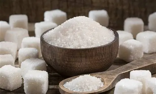 Слишком высокий уровень сахара в крови: что делать, если у вас высокий уровень сахара в крови?