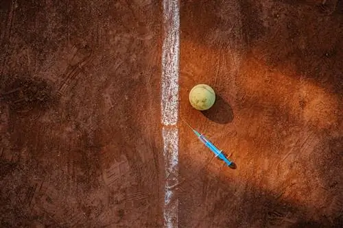 Скептики вакцинации: звезда тенниса застряла в Австралии