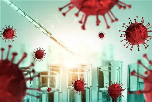 Омикрон, несмотря на ревакцинацию: вот почему происходят прорывы в области вакцинации